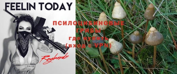 MDMA Premium VHQ Новодвинск