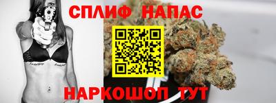 скорость Дубна