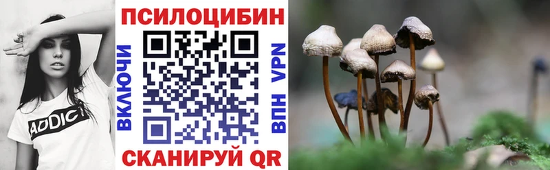дарнет шоп  Симферополь  Галлюциногенные грибы Psilocybine cubensis 