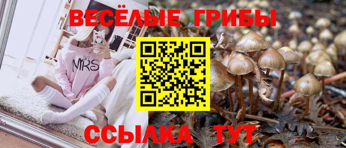 Галлюциногенные грибы мухоморы Симферополь